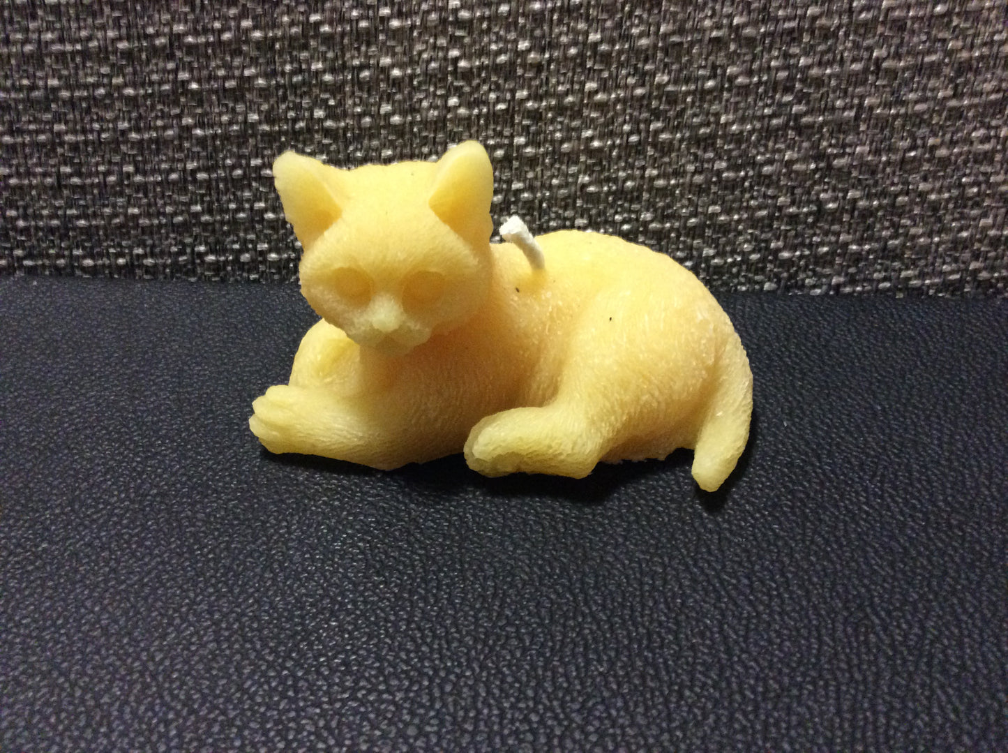 CAT LOUNGING  2" x 3.5" (2 oz)